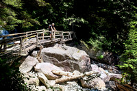 Old Bridge at the Upper Widgeon Creek Fall
