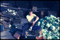 1981: На овощебазе