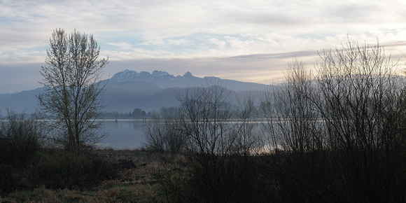 Morning by the Pitt River