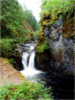 2004.07.16 Vancouver Island. 2nd Day - Englishman River Falls, Across the Island to the Pacific Ocean and Back Again