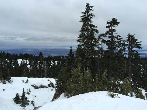 Mount Seymour hike - January 17, 2015