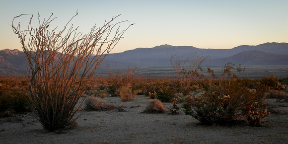 Sunrise In The Desert / Желтое солнце пустыни