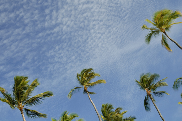 Hawaiian Skies