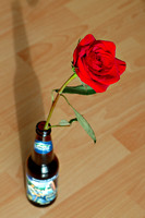 ... роза красная цвела, гордо и неторопливо. (с) Б. Окуджава