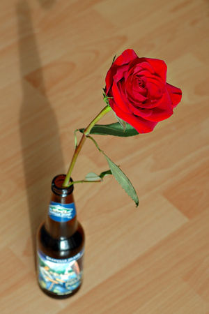 ... роза красная цвела, гордо и неторопливо. (с) Б. Окуджава