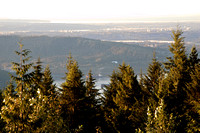 Deep Cove Lookout View