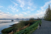 Morning by the Pitt River
