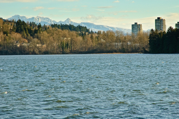 Newport Village and Golden Ears Mountains From Rocky Point Park, Port Moody
