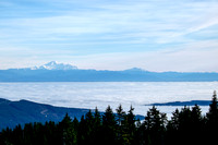 Mount Baker above the fog