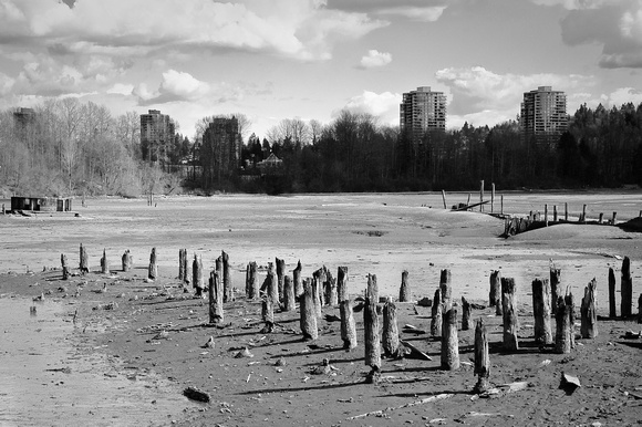 Old Mill Park, Port Moody