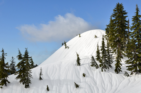 Mount Seymour on March 3rd