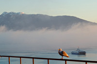Burard Inlet, The Morning Fog