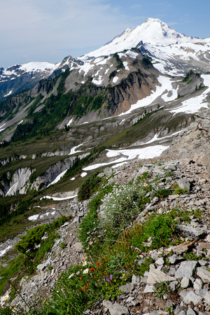 Mount Baker from the beginning of Table Mountain Trail