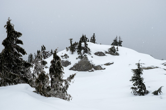 Mount Seymour hike - January 17, 2015