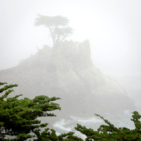 17-Mile Drive (Foggy At Times)