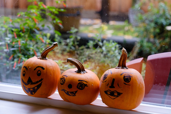 Natasha's Halloween mini-pumpkins