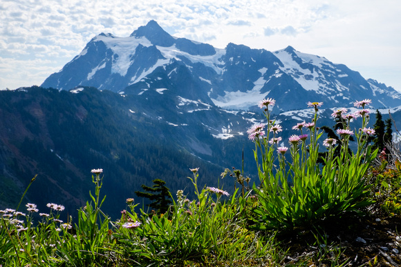 Mount Shuksan from the Artist Point Trail