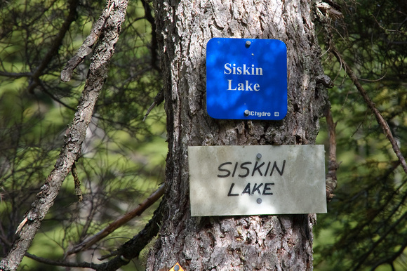 Siskin Lake / Чижиковое озерцо