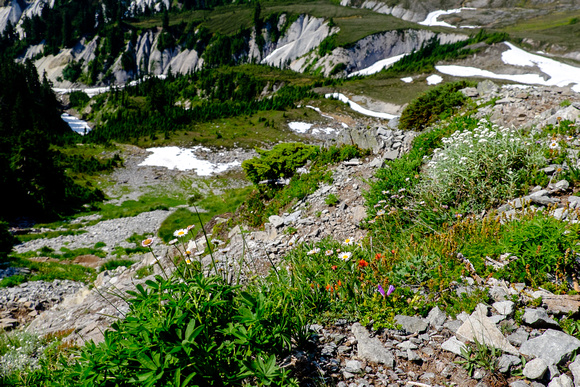 Mount Baker from the beginning of Table Mountain Trail