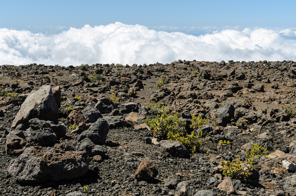 Top of the Island - Haleakalā