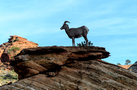 2012.11.28 Zion National Park