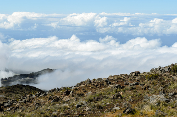 Top of the Island - Haleakalā