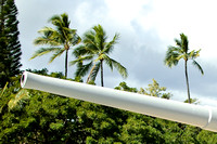 Waikiki Beach Cannon