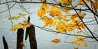 2007 Fall Mix / Осень