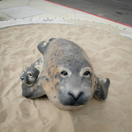 Sand Seals?