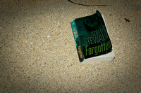 Forgotten Book / Забытая книга