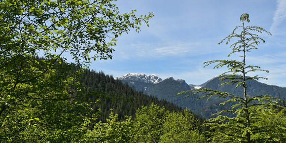 Mount Seymour View