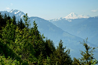 Mount Baker View