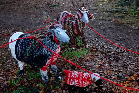 Burnaby Village Christmas Decorations
